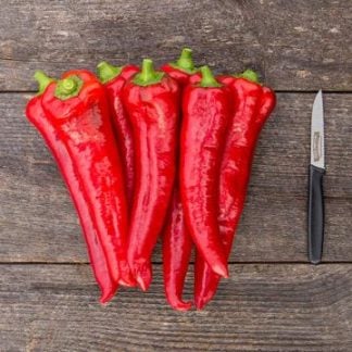 Pepper, Italian, Carmen, 4" Pot