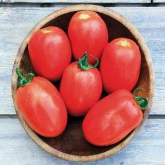 Tomato, Paste, Granadero, 4" Pot