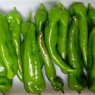 Pepper, Anaheim, Highland, 4" Pot