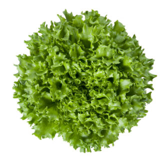 Lettuce, Salanova, Green Batavia, Pack